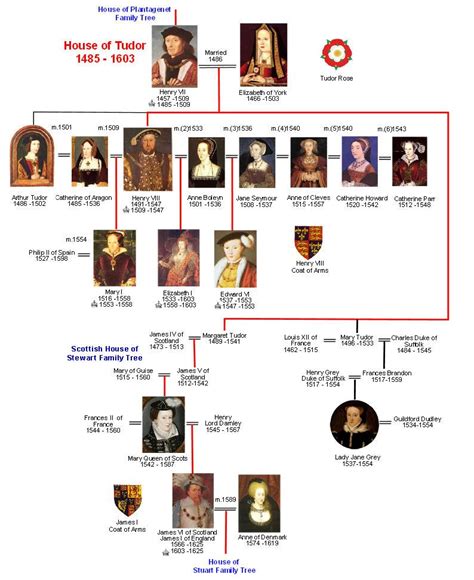 tudor and stuarts royal family tree|royal family tree henry viii to present.